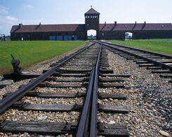 Foto Auschwitz Birkenau