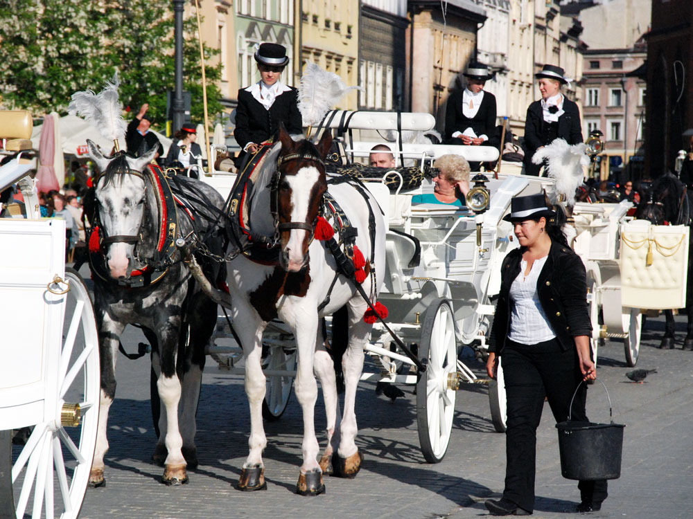Zu sehen sind Kutschen auf dem Hauptmarkt in Krakau. Foto Hartmut Ziesing